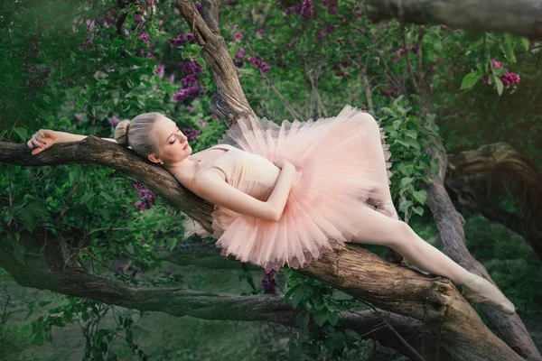 Teder en romantisch ballerina ontspannen in bloemen tuin — Stockfoto