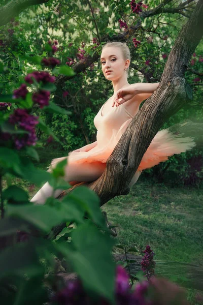 Нежная и романтичная балерина отдыхает в цветочном саду — стоковое фото