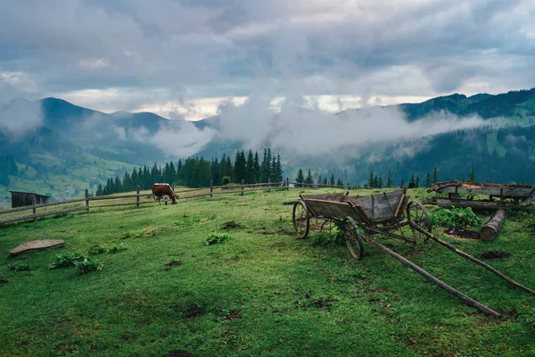 Montanha paisagem rural coberta de nevoeiro pela manhã — Fotografia de Stock