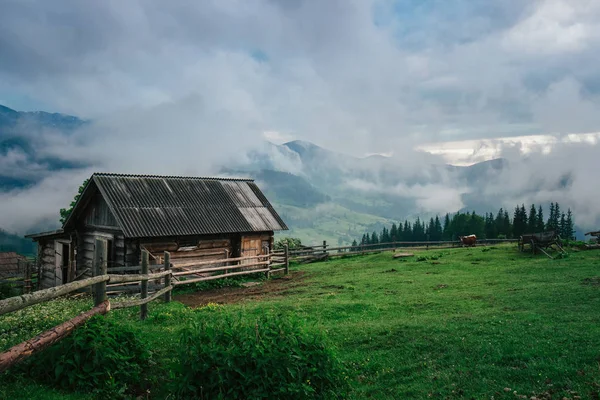 Ländliche Berglandschaft am Morgen von Nebel bedeckt — Stockfoto