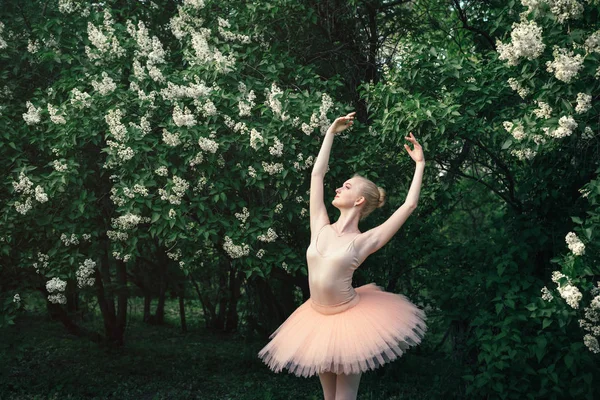 Ballerina che balla all'aperto balletto classico posa in terre fiori — Foto Stock
