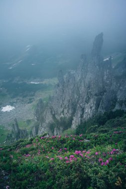 Mistik dağ rock siste Panoraması