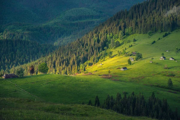 Grünes Gebirgstal bei Sonnenaufgang — Stockfoto