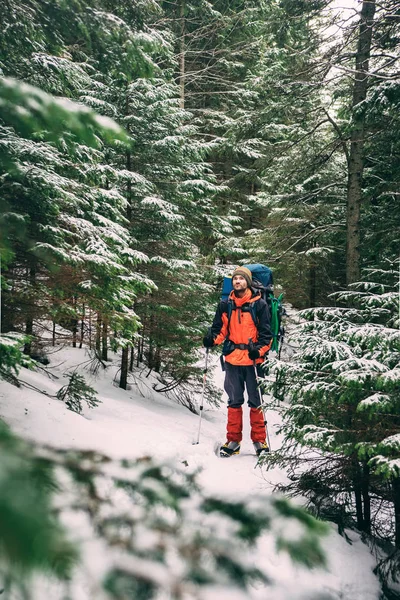 Man wandelen in prachtige winter forest — Stockfoto