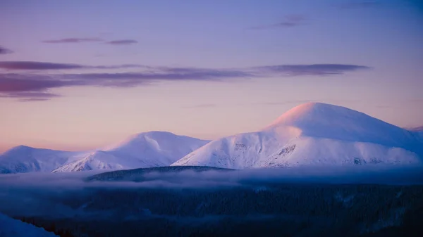 Goverla montagna invernale sulla neve all'alba — Foto Stock