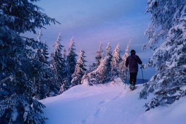 Adam güzel kış ormanda günbatımı hiking