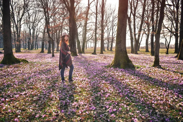 Natureza florescente, crocos, jovem viajante — Fotografia de Stock