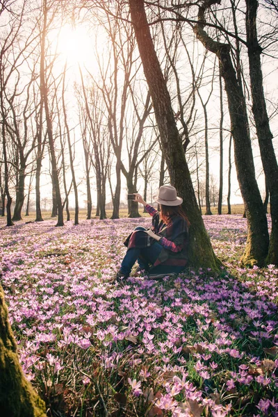 Spring.Sun.Blossoming crocuses na floresta e uma viajante do sexo feminino — Fotografia de Stock