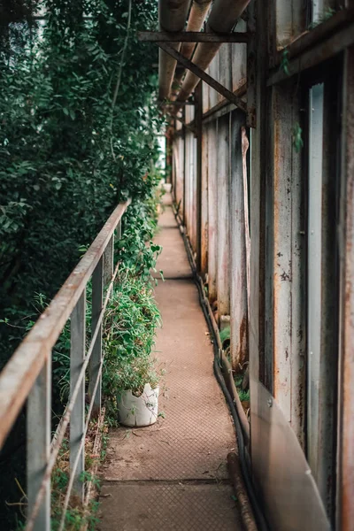 Narrow old passage at abandoned botanical garden — Stock Photo, Image