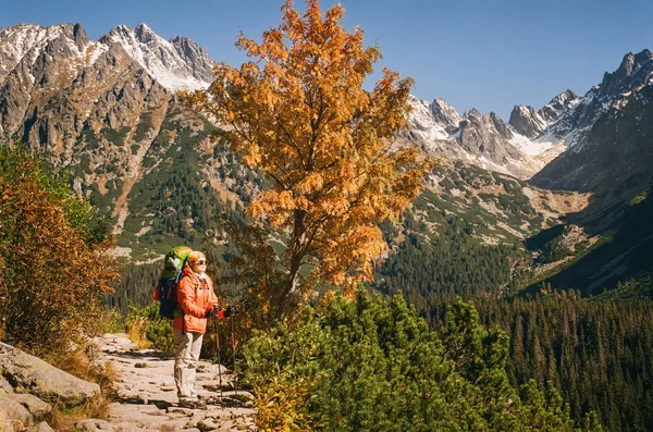 Slovakya sitedeki dağ keşfetmek genç kadın uzun yürüyüşe çıkan kimse — Stok fotoğraf