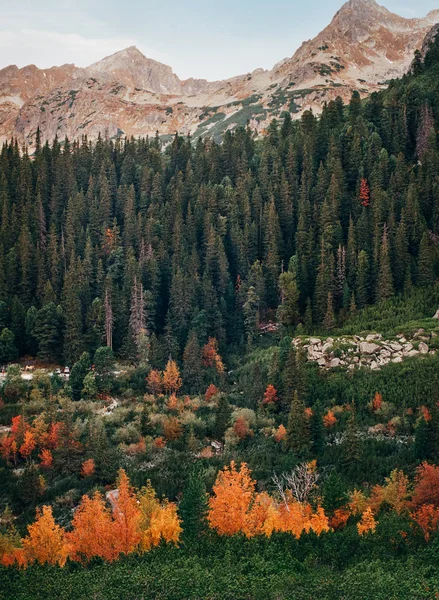 Tatra Nationalpark Landschaft im Herbst, Slowakei — Stockfoto