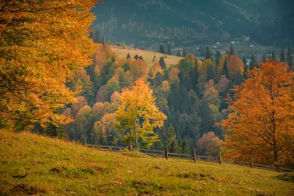 Herbst Natur der Karpaten Gebirgsbach — Stockfoto