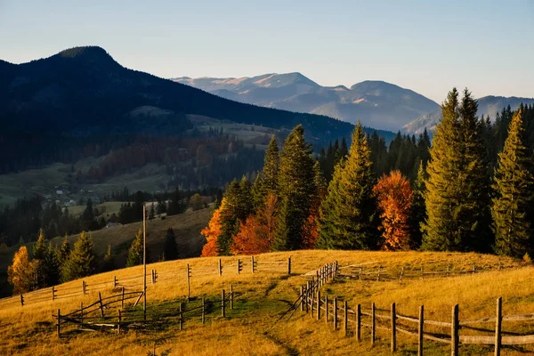 カルパティア山脈の秋の美しい山の田園地帯 — ストック写真