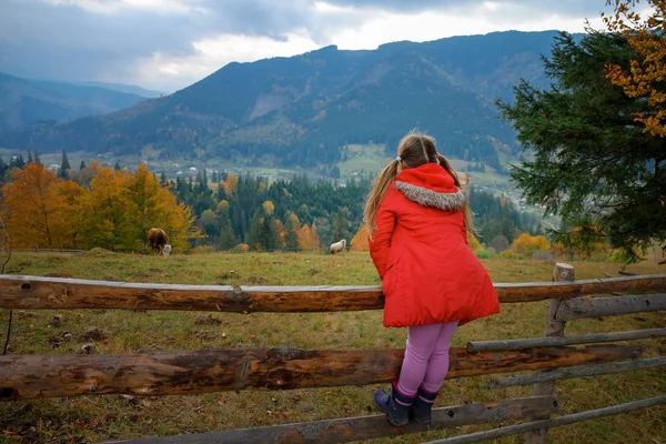 Curare la bambina in campagna nei Carpazi — Foto Stock