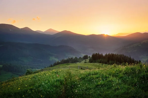 Yaz aylarında günbatımı sırasında vahşi doğanın huzurlu manzara — Stok fotoğraf