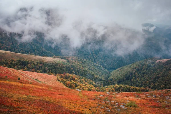 Schöner Herbst in der Ukraine. Berghügel bedeckt roten Teppich Blätter — Stockfoto