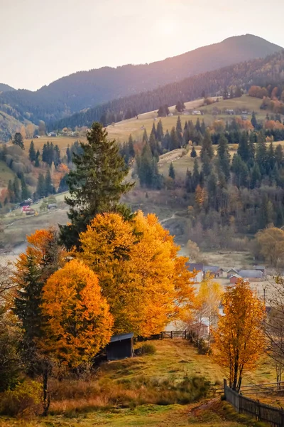 秋のカルパチア山脈の村の風景。 — ストック写真