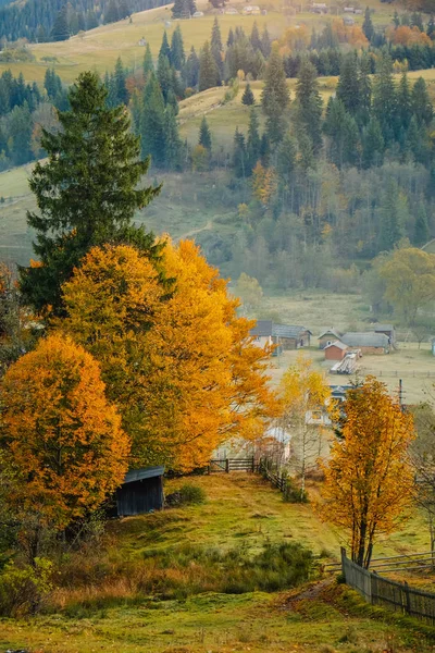 Goldener Herbst in der karpatischen Bergdörferlandschaft — Stockfoto