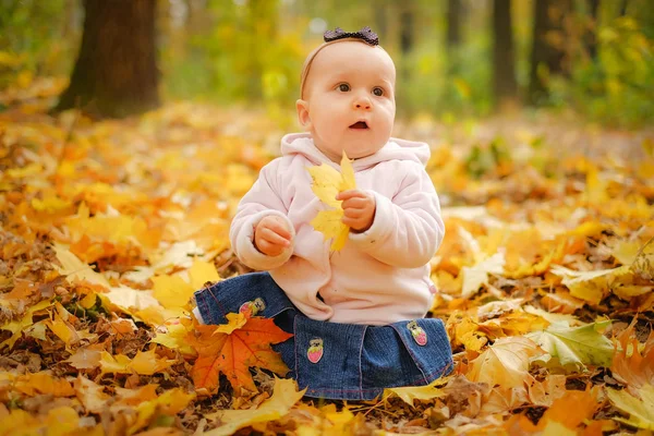 Bebé niña jugando otoño bosque parque —  Fotos de Stock