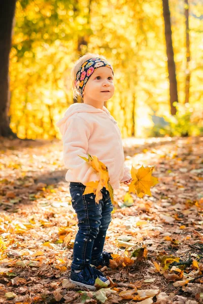 Bebé niña jugando otoño bosque parque —  Fotos de Stock
