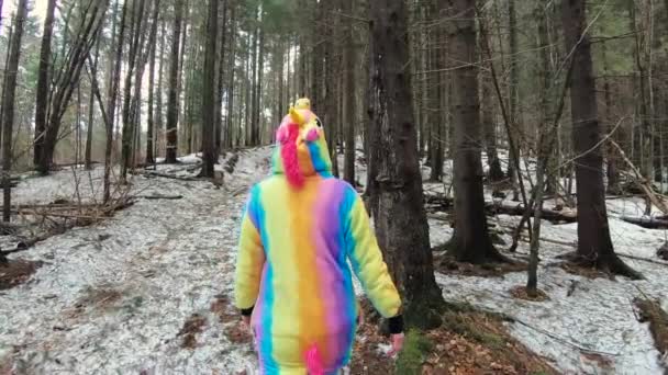 Randonneuse Costume Licorne Marchant Travers Forêt Des Montagnes Des Carpates — Video