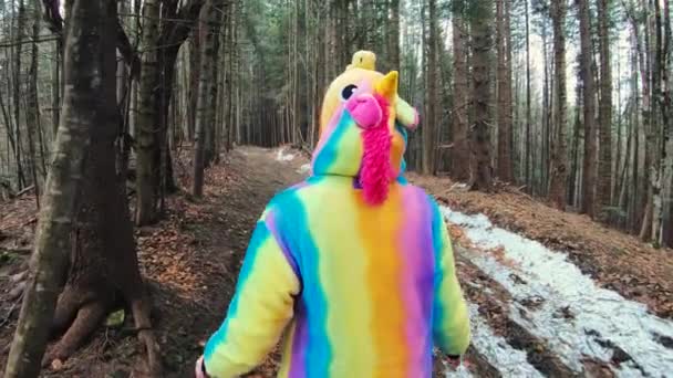 Escursionista Donna Costume Unicorno Che Cammina Attraverso Foresta Montuosa Dei — Video Stock