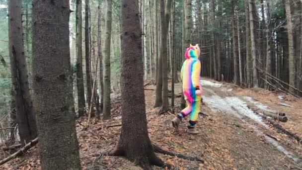 春の日にカルパチア山脈の森を歩くユニコーンの衣装の女性ハイカー 欲望旅行の概念 — ストック動画