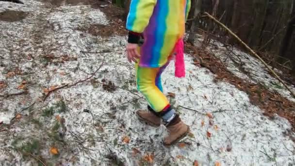 春の日にカルパチア山脈の森を歩くユニコーンの衣装の女性ハイカー 欲望旅行の概念 — ストック動画