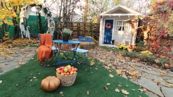 Zucca Mela Raccolte Nel Cortile Della Fattoria Coperto Foglie Oro — Video Stock