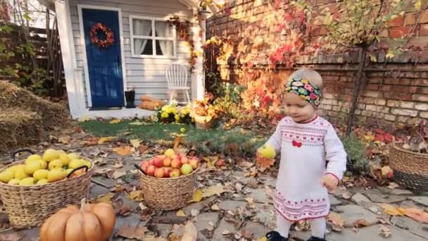 Счастливая Маленькая Девочка Играющая Собранной Тыквой Яблоком Фермерском Дворе Покрыла — стоковое видео