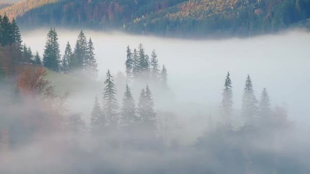 Tijdsverloop Van Mist Bergherfst Bos Heuvels Gele Bomen Mistige Landschap — Stockvideo