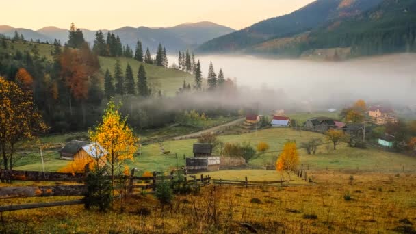 Time Lapse Nebbia Che Muove Montagna Foresta Autunnale Colline Alberi — Video Stock