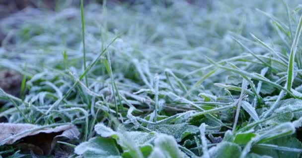 Macro Tiro Partículas Neve Brilhante Derretimento Transformando Água Líquida Desvendando — Vídeo de Stock