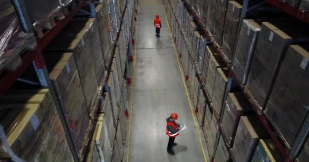Руководитель Проходит Промышленному Складу Заполненному Коробками Металлических Стойках Проверяет Инвентарь — стоковое видео