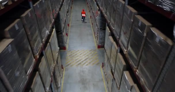 スーパーバイザーは 金属ラックの箱で満たされた産業倉庫を歩き 在庫をチェックします — ストック動画