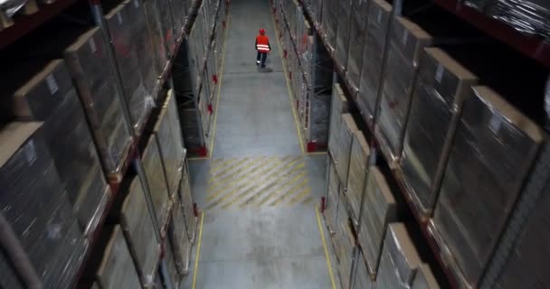 Seorang Supervisor Berjalan Melalui Sebuah Gudang Industri Yang Penuh Dengan — Stok Video