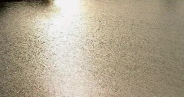 Dalgalanan suda Göl ve Günbatımı Yansıması ile orman manzara