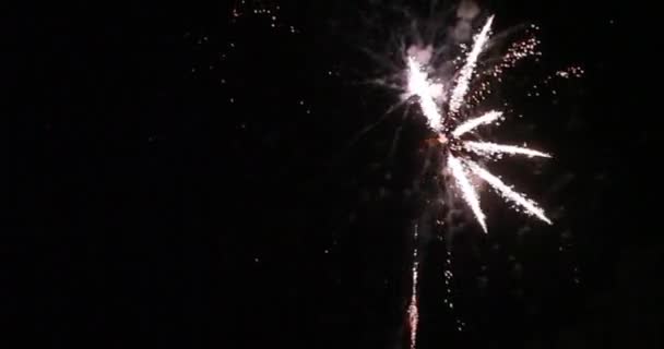 摘要彩色烟火背景、庆典及周年概念.在夜空中慢动作的烟火 — 图库视频影像