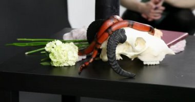 Profesyonel film kamerası. Sahne arkası sinema prodüksiyonu. Film çekimi ve film yapımı. Profesyonel film ekipmanları. Filmin setinde kamera. Film kamerası