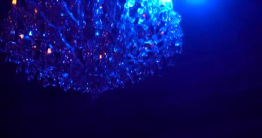 Ukrayna, Poltava, 25 Aralık 2019. Noel 'den önceki gece. Ana pazar meydanında duran parlak noel ağacı, kış tatilleri, insanların hoşuna gidiyor.