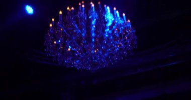 Ukrayna, Poltava, 25 Aralık 2019. Noel 'den önceki gece. Ana pazar meydanında duran parlak noel ağacı, kış tatilleri, insanların hoşuna gidiyor.