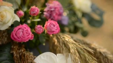 Baharda çiçekli çayır. Baharda çiçekli çayır görüntüleri.