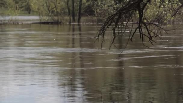 Zaplavená Zemědělská Pole Zemědělské Usedlosti Peřeje Spěchající Přetékající Budovy Dešťové — Stock video