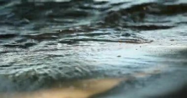 Siyah volkanik plajda koşan genç hippi çiftin arka hava görüntüsü.