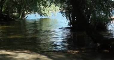 Siyah volkanik plajda koşan genç hippi çiftin arka hava görüntüsü.