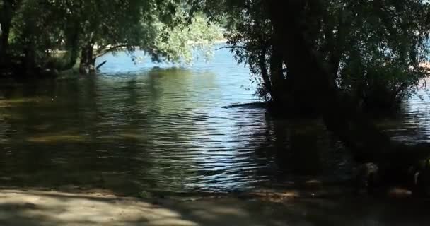 Luftaufnahme Eines Jungen Hipster Paares Schwarzen Vulkanstrand — Stockvideo