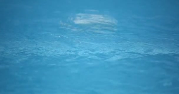 水下光线形成了由阳光构成的美丽的面纱 水下海浪随光线振荡和流动 — 图库视频影像
