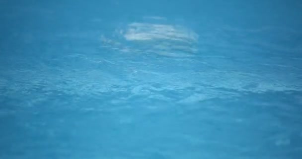 La lumière sous-marine crée un beau voile, composé de lumière du soleil. Les vagues sous-marines oscillent et s'écoulent avec les rayons de lumière