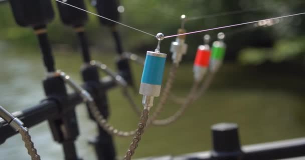 Balık Havuzu Üzerinde Sazan Çubukları Isırık Alarmı — Stok video