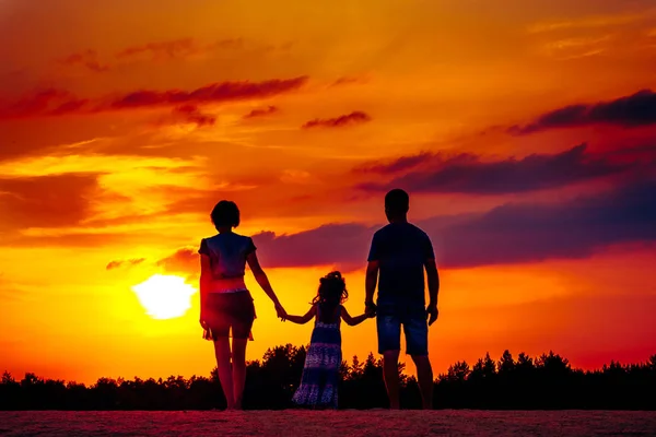 Gün batımında yaz çayır üzerinde mutlu bir aile — Stok fotoğraf